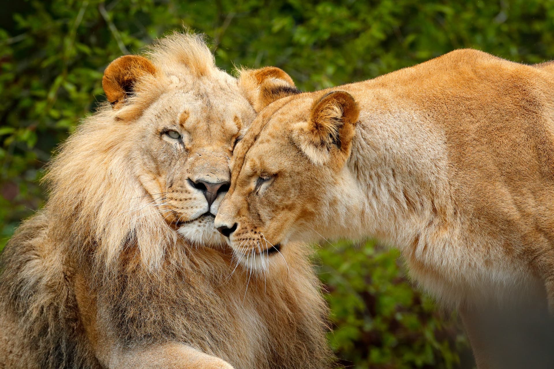 Chobe National Park