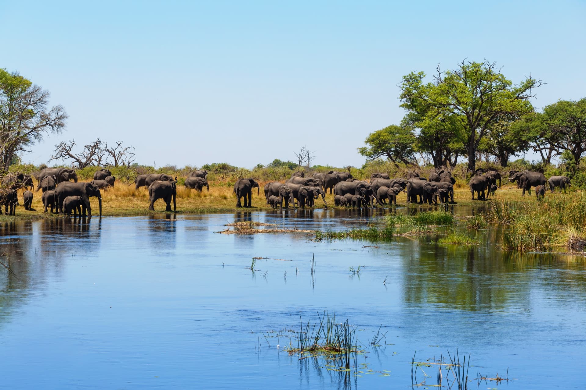 The Caprivi Strip