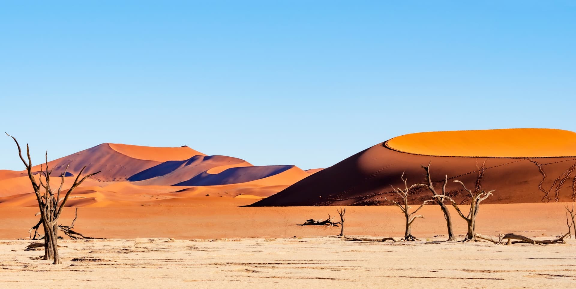 en namibie shutterstock 1726264186