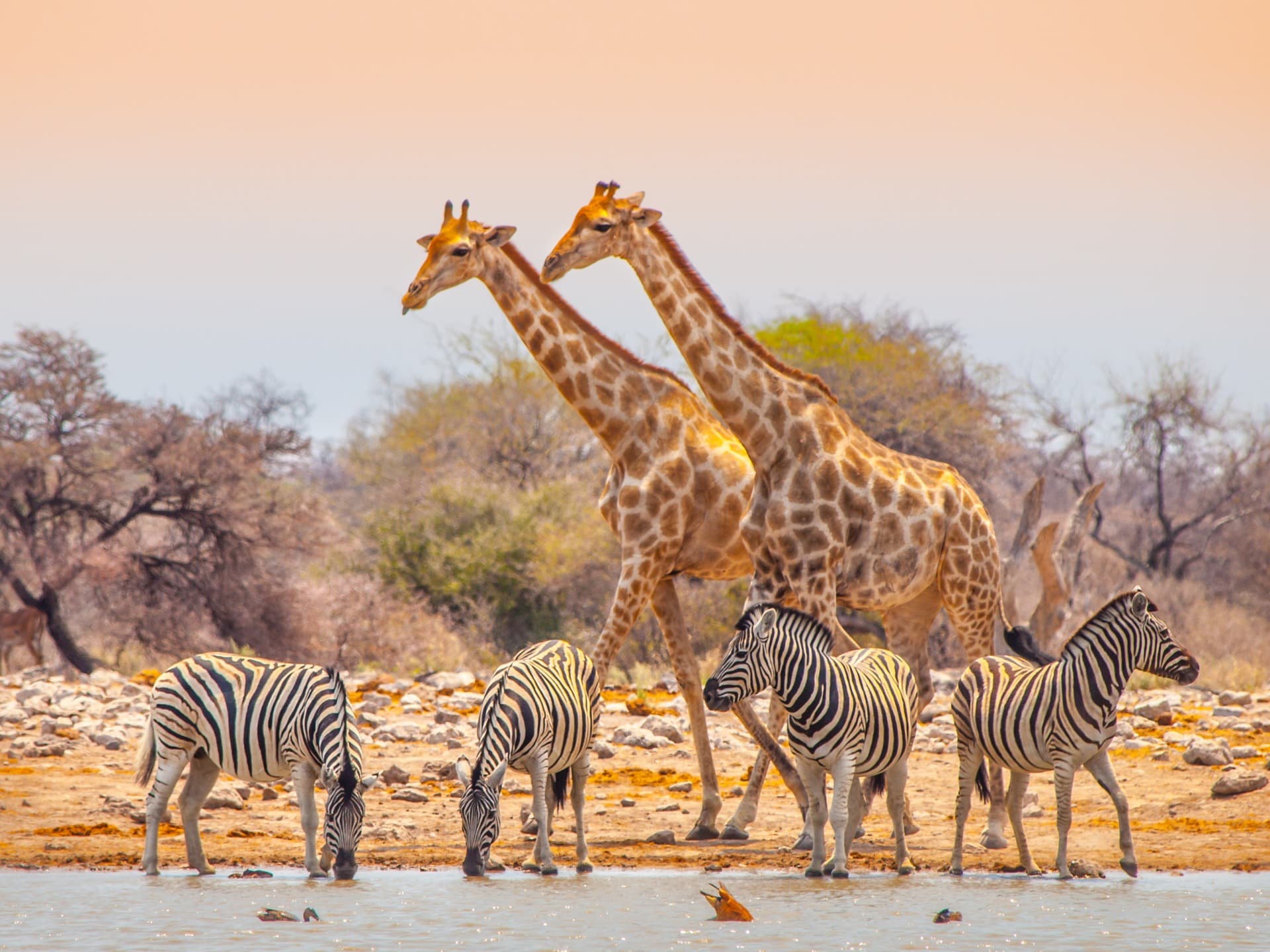 Namibia's Must-See Attractions