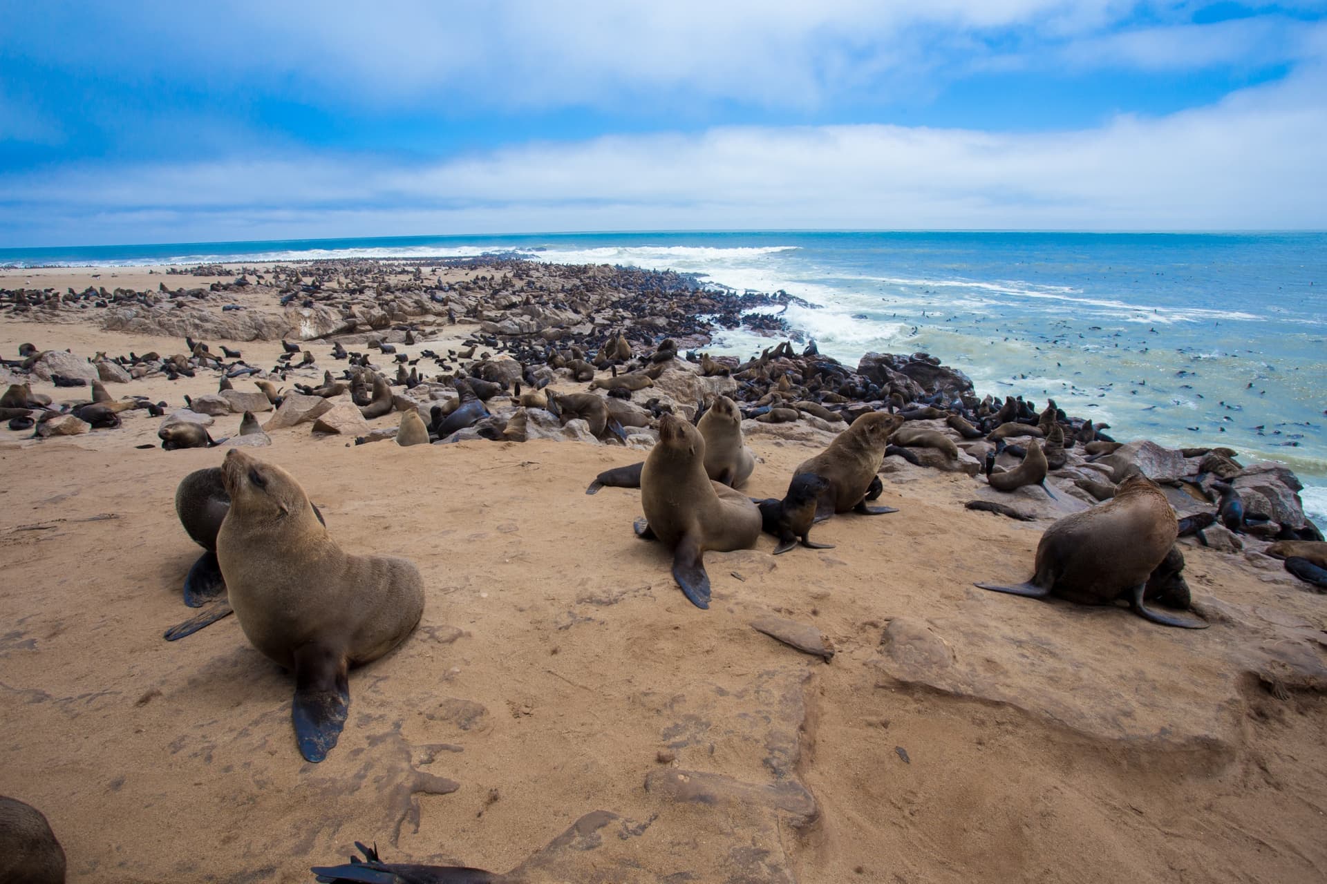 Why Visit Namibia