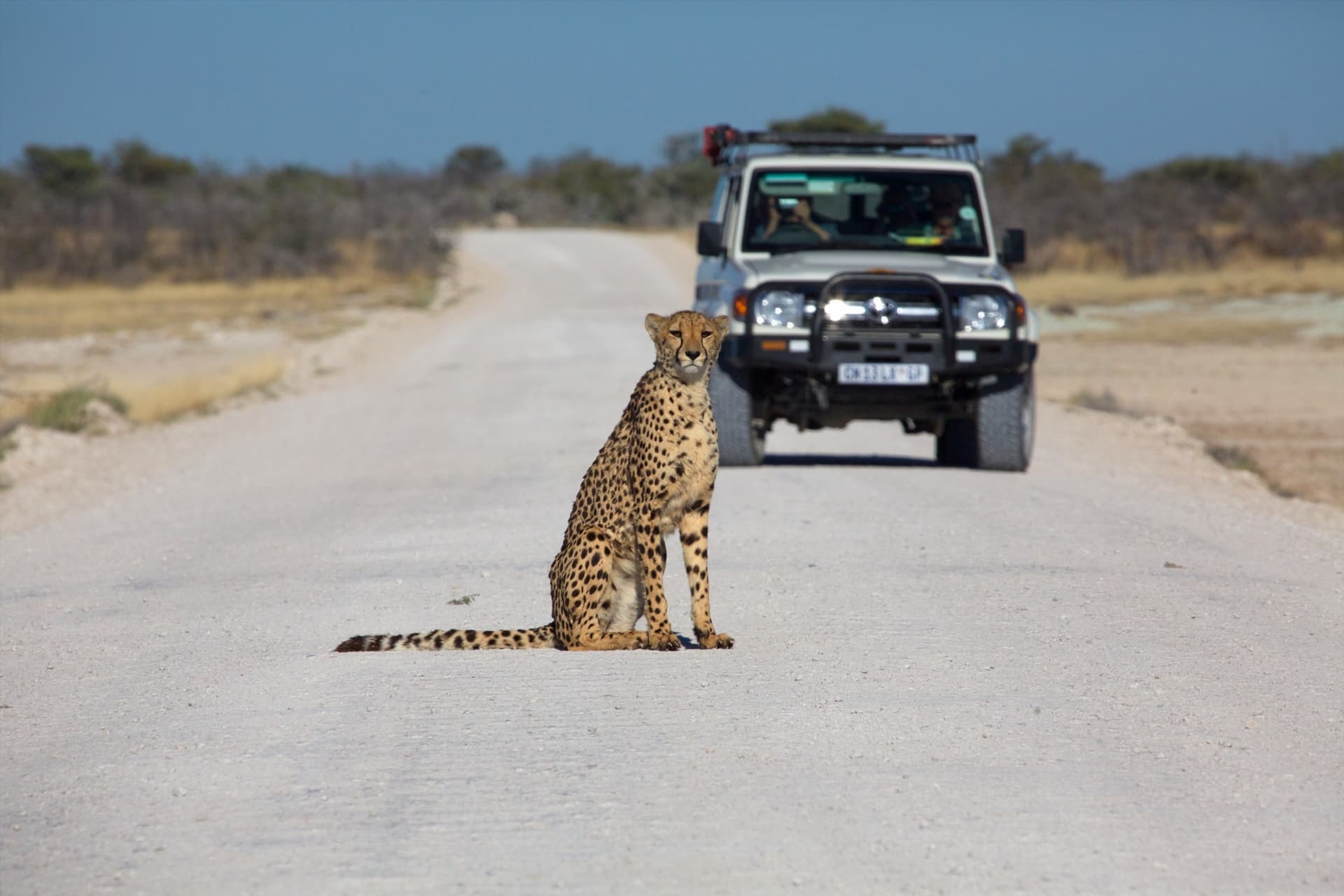 avant partir namibie