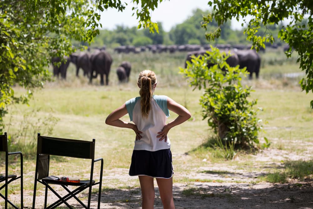 Moremi National Park