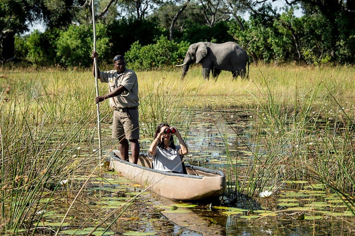 Okavango Delta (the Kwara Concession)