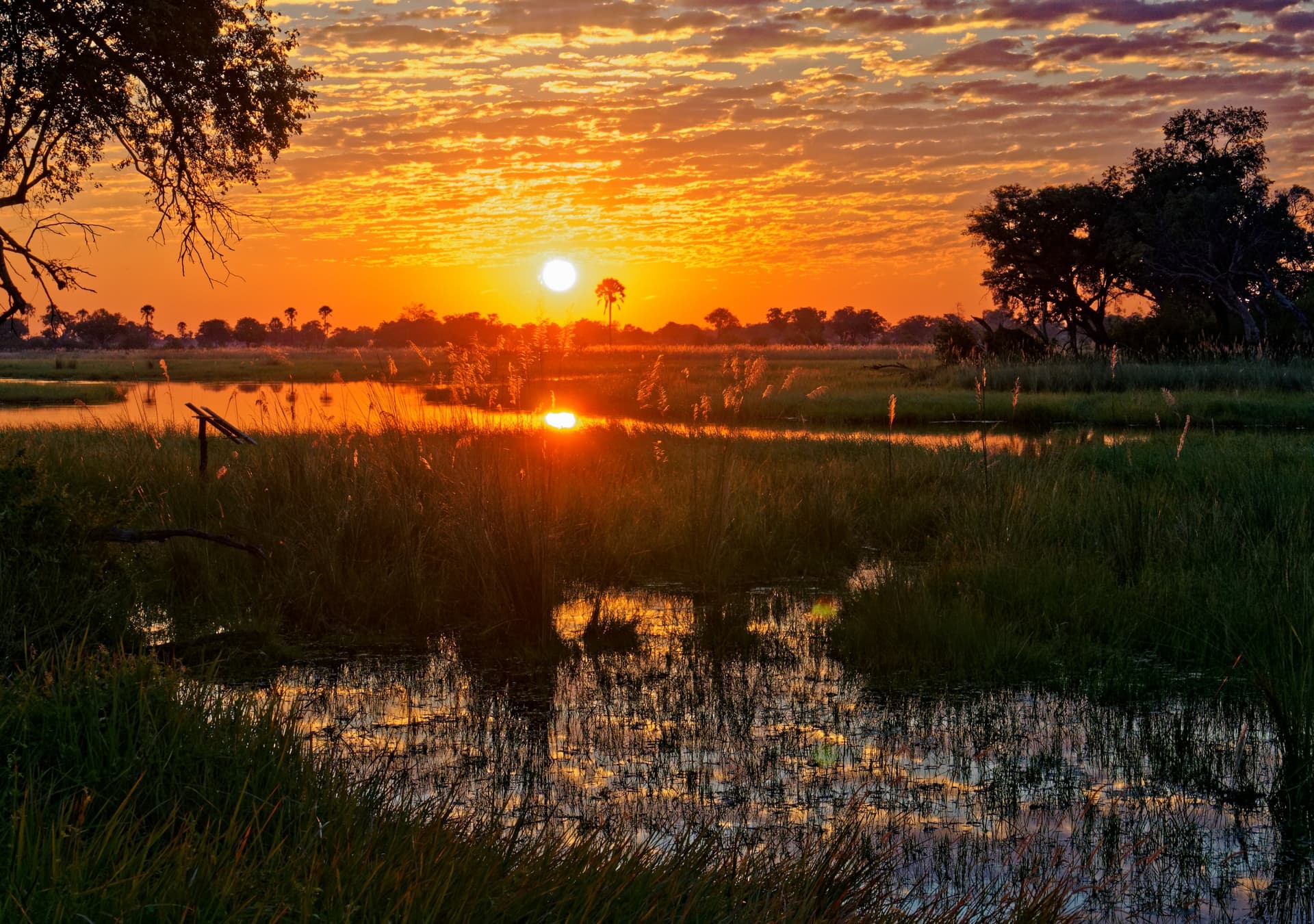 Okavango Delta