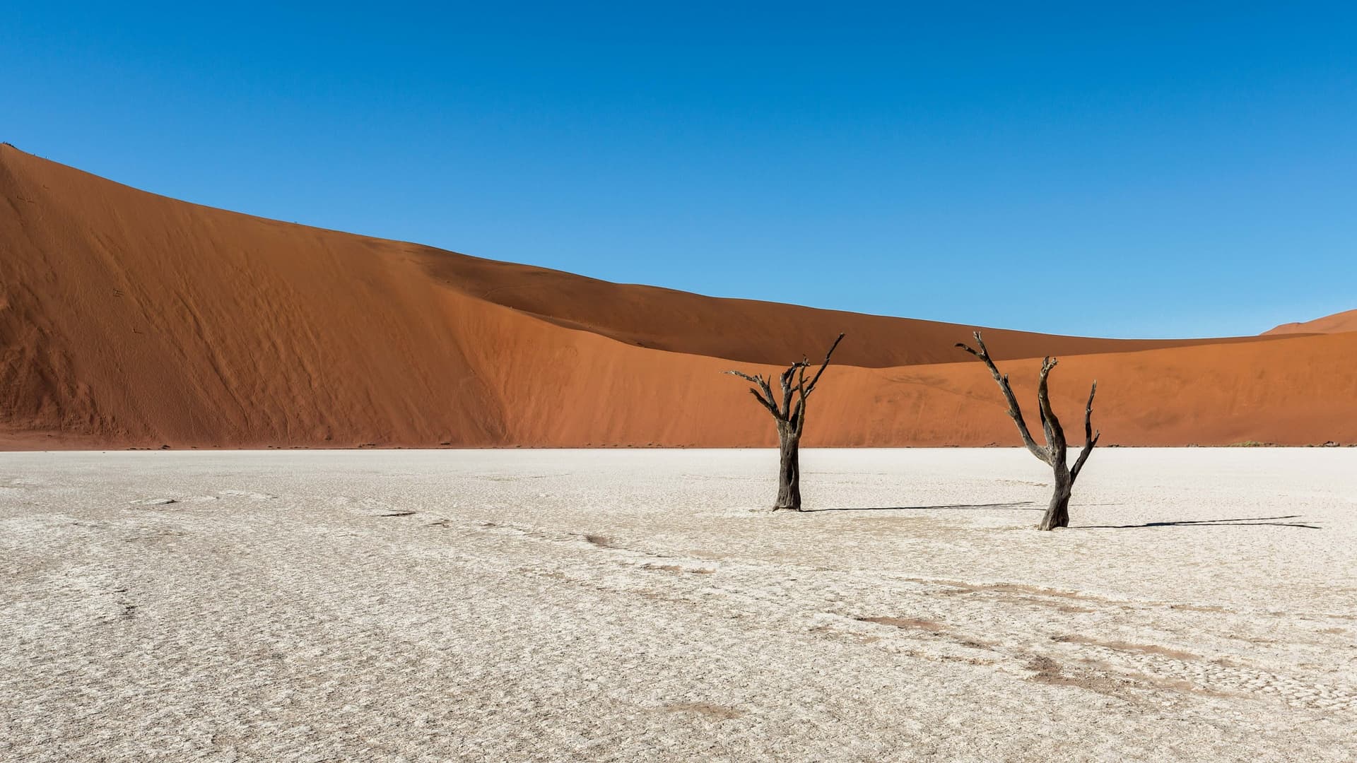NamibRand Nature Reserve / Namib Desert