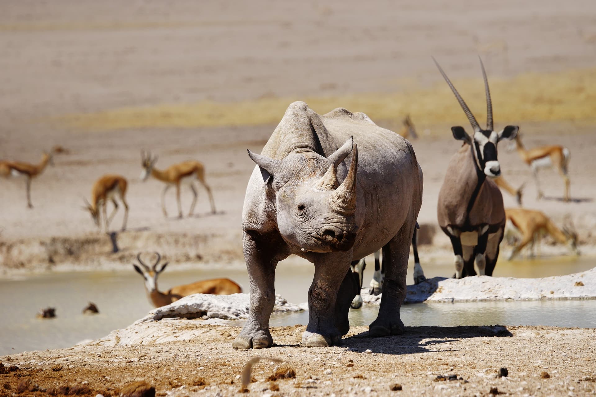 Etosha