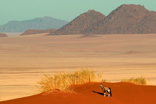 Windhoek / NamibRand Nature Reserve